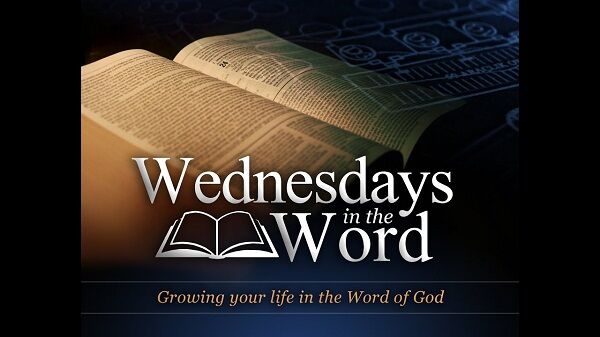 Word Wednesdays: Root – From Mountains to Molehills